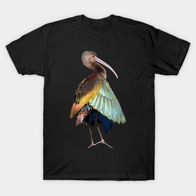 Birds Tee Present T-Shirt Bird Nature T-Shirt by gdimido